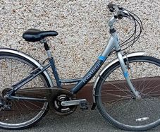 Ladies Bicycle Bargin