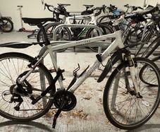 Staiger Daytona Sportline Cross / Trekking / City Bike