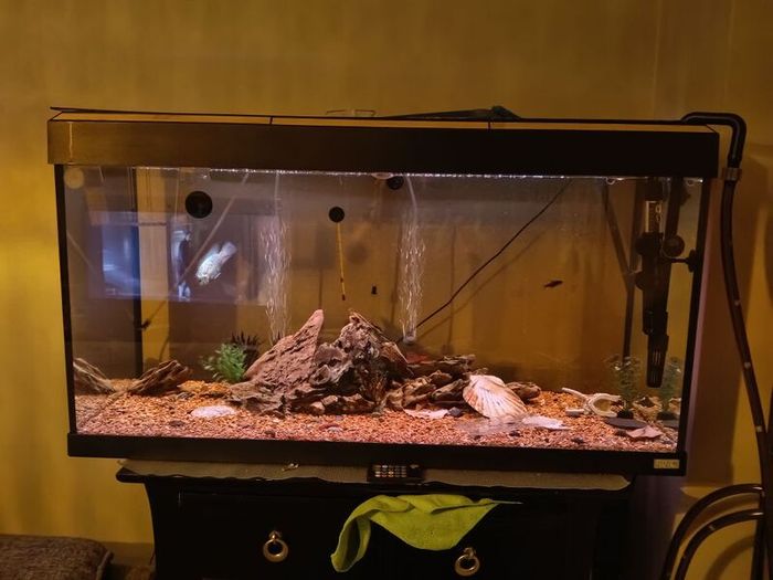 fish tank