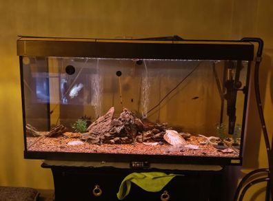 fish tank