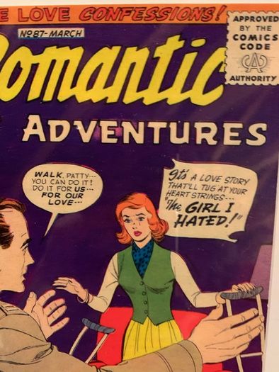 Framed Romantic Adventures print