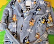 Bluey clothes bundle