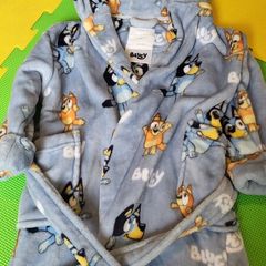 Bluey clothes bundle
