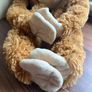 Light brown cheeky hanging Monkey Image 4