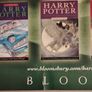 Harry Potter "7 Books, One Story" Complete Series Promotional Poster Image 4