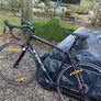 Trek Racing Bike Image 2