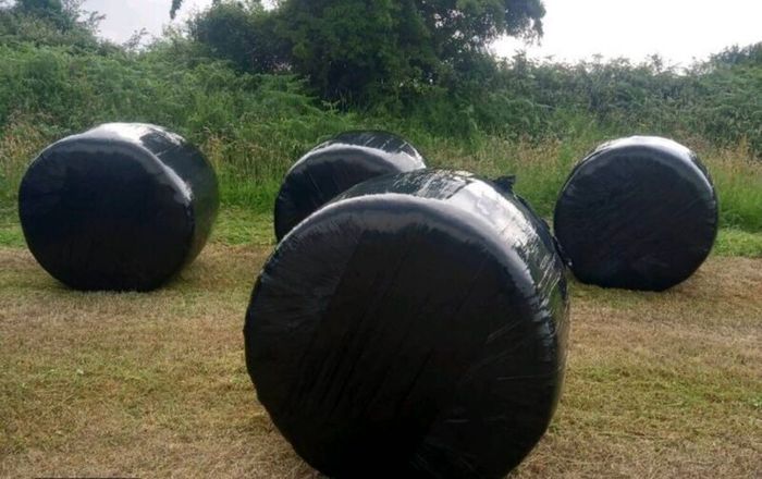 Silage bales