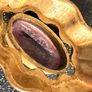 Andreas Daub pendant Image 6