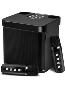 Portable Karaoke with 2 Microphone