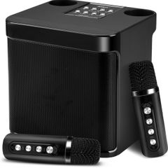 Portable Karaoke with 2 Microphone