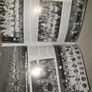 HEFFO  A BRILLENT MIND A Biography of Kevin Heffernan By Liam Hayes Image 3