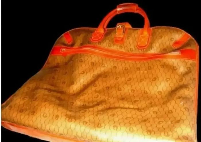 Vintage Authentic Christian Dior Honeycomb Garment Bag