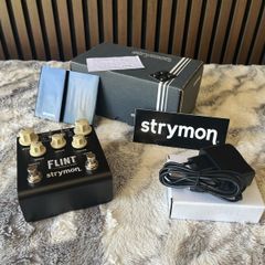 Strymon Flint V2 - ungigged