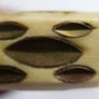 Vintage 80s Bone & Brass Bangle: Chunky Boho Bracelet Image 3