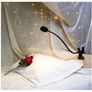 EYOCEAN Clip on Light Reading Lights, Desk Lamps, Eye Protection Kids Desk Lamp with Strong Clamp, Flexible Night Light 3 Modes 9 Dimming Levels Image 7