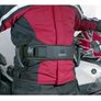 Pillion Handles TTNRG Image 3
