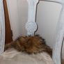 chair Image 6