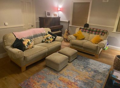 3 Seater and 2 seater couches