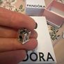 Silver charm Tara's Diary Image 5