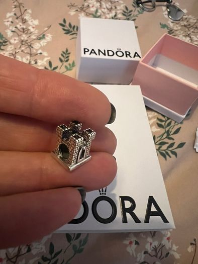 Silver charm Tara's Diary