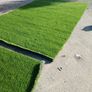 Artificial grass Image 2