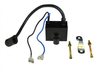 Ignition Coil 60cc 80cc Petrol Gas Motorised Bicycle Engine Conversion Kit