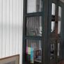 Vintage Indian cabinet/bookcase Image 3