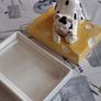Cheese Dish Holder Image 8