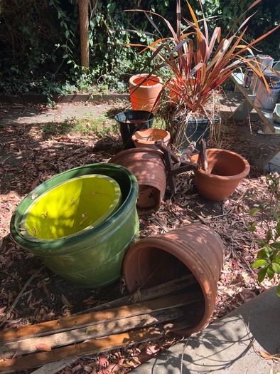 plant pots job lot
