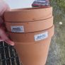 Terracotta pots x3 Image 2