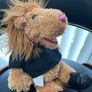 teddy bear Image 4
