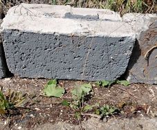 Builders Solid Concrete Blocks