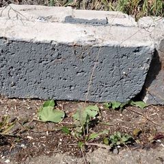 Builders Solid Concrete Blocks