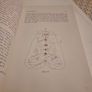 Yoga and Psychotherapy.The Evolution of Consciousness 1 Image 7