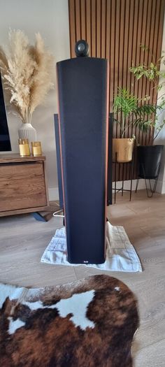 Bowers and wilkins nautilus 804s