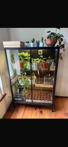glass display cabinet