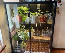 glass display cabinet