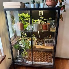glass display cabinet