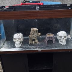 Fish tank