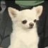 Lun