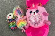 TY and Rainbocorn bundle