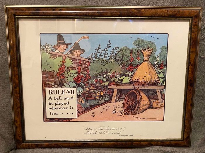 Golfing Rule Vii, on offer
