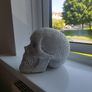 Skull head Image 2