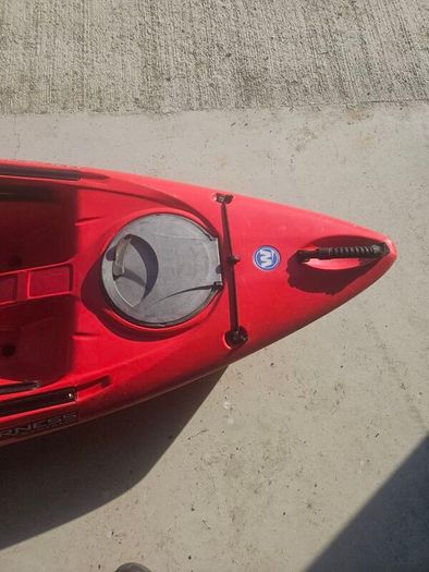tarpon 100
