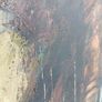 Signed original Large Vintage Impasto Elephant Painting Image 6
