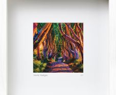 Dark Hedges, Co. Antrim, mid size framed print, by artist Helen Mathews