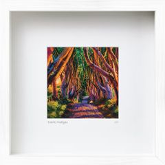 Dark Hedges, Co. Antrim, mid size framed print, by artist Helen Mathews