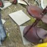vintage mahogany plant stands Image 7