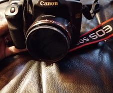 canon 50d with yongnuo lens 50mm f1.8