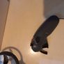 dji avata 2 Image 6